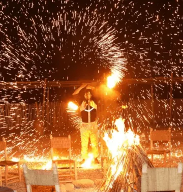 Dinner Show