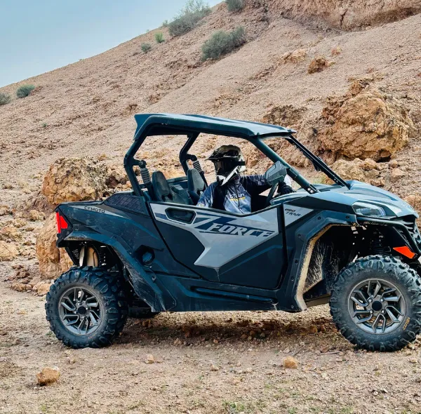 Buggy
