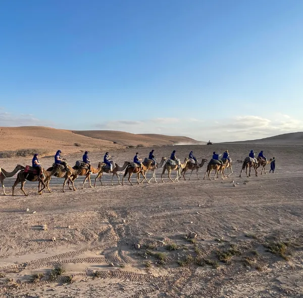 Giro in cammello - esperienza vicino a Marrakech