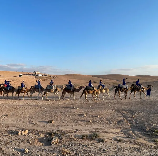 Giro in cammello - paesaggio roccioso e dune di pietra