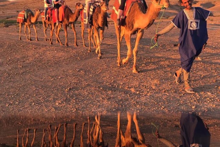 Agafay Desert Adventures