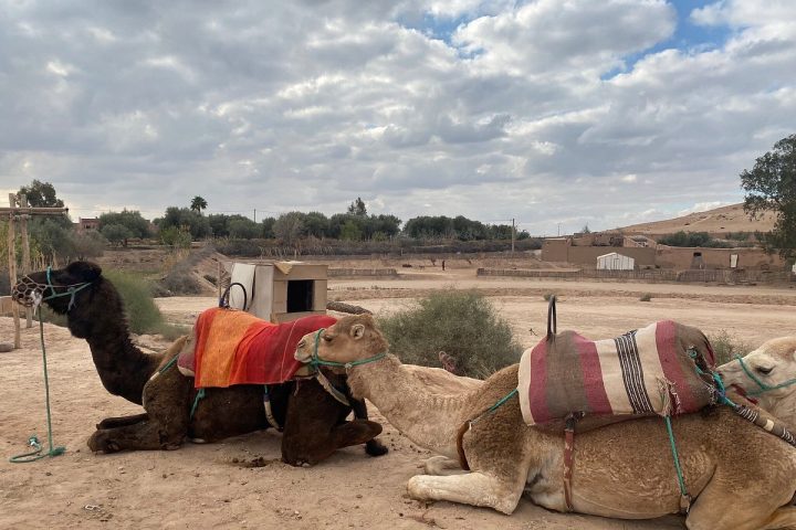 Agafay Desert Adventures