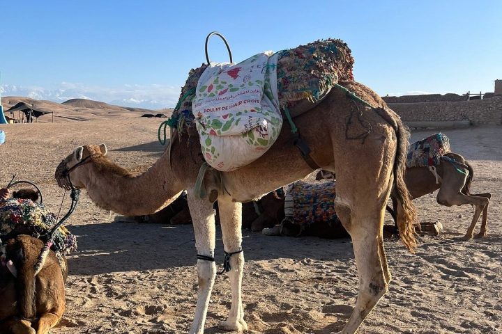 Agafay Desert Adventures