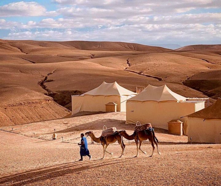 Agafay Desert Adventures